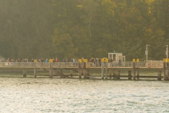 People on a jetty by the lake in front of an autumn forest, Mainau Island, Lake Constance, Germany