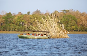 Safari boat on the Kabini Reservoir watching cormorants, Kabini, Karnataka, India
