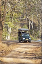 Safari jeep in the dry forest, Nagarahole National Park, Kabini, Karnataka, India