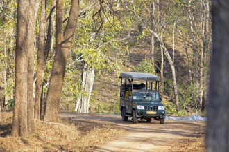 Safari jeep in the dry forest, Nagarahole National Park, Kabini, Karnataka, India