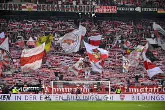 VfB Stuttgart, Cannstatter Kurve, fan block, fans, fan curve, flags, flags, atmosphere, atmospheric