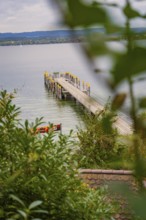 View of a jetty jutting into a calm lake surrounded by lush greenery, Mainau Island, Lake