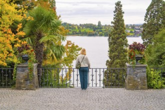 Person looking at a lake landscape with trees in warm autumn colours behind a railing, Mainau