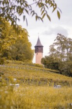 A tall tower rises above autumn vineyards and fields under a cloudy sky, Mainau Island, Lake