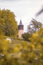 Single tower rises out of autumn landscape with orange-coloured trees, Mainau Island, Lake