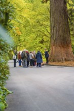 Group of people listening to a park tour in front of a large tree on a path, Mainau flower island,