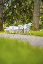 Quiet scenery with white benches in a park, Mainau flower island, Lake Constance, Germany