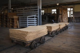 Wagon on rails for transporting cardboard, former paper factory and mill for the production of