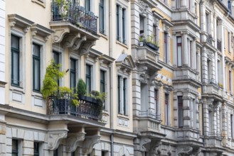Art Nouveau facade, row of houses, Neustadt, Dresden, Saxony, Germany