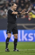 Referee Referee Nenad Minakovic gesture gesture World Cup qualifier, international match, Germany v