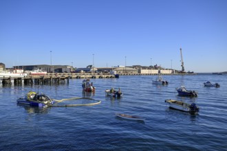 Fishing boats in the harbour, Robert Harbour, Lüderitz, Karas Region, Namibia