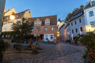 Historic Fountain Burgstraße, Houses, Blue Hour, Old Town, Meissen, Saxony, Germany