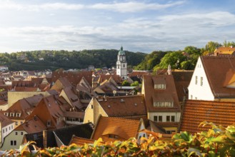 View of the old town, Church of Our Lady, Meissen, Saxony, Germany