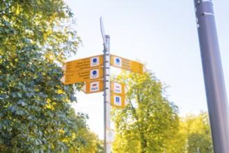 Yellow signposts in front of autumnal trees and a sunny sky with directions, Überlingen, Lake