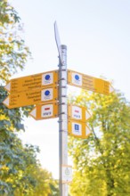 Yellow signposts with directions rise up against a blue sky and trees, Überlingen, Lake Constance,