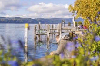 Landing stage at a lake with flowers and people enjoying the autumn atmosphere, Überlingen, Lake