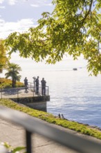A group of people enjoying the view of the lake from a vantage point under a brightly lit tree,