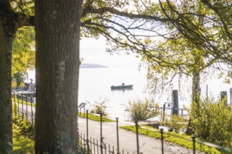 A peaceful lake with a boat in the water, seen from a shady path under trees, Überlingen, Lake