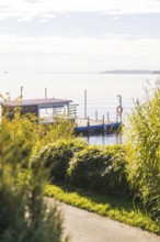 The tranquil lake is complemented by a jetty on the shore, surrounded by lively greenery under a