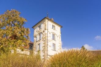 White historic building with tower and colourful autumn leaves in the foreground under a blue sky,