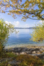 Peaceful scene at a lake, surrounded by autumn trees and a clear blue sky, Überlingen, Lake
