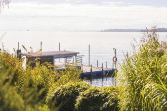 A jetty juts out into a calm lake, surrounded by lush greenery and bathed in warm sunlight,
