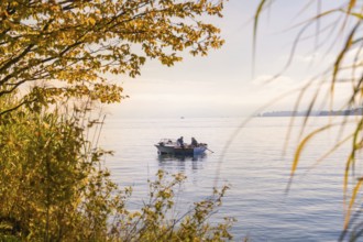A boat on a calm body of water, embedded in autumnal nature, Überlingen, Lake Constance, Germany