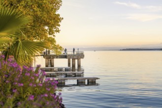 A quiet evening on a jetty by the lake, surrounded by plants and golden light, Überlingen, Lake