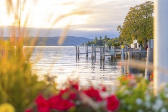 The picturesque lake with jetties at dusk, surrounded by colourful flowers, Überlingen, Lake