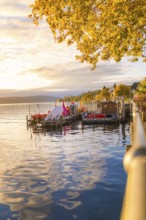 Idyllic harbour at sunset with trees and reflections in the water, Überlingen, Lake Constance,