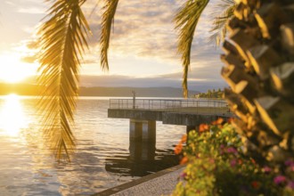 Atmospheric view of a pier under palm trees at sunset, Überlingen, Lake Constance, Germany