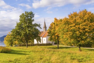 Autumn landscape with church and colourful trees under a blue sky, Überlingen, Lake Constance,