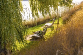 Quiet scene with deckchairs on a sunny riverbank under trees, Überlingen, Lake Constance, Germany