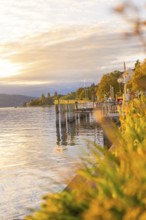 Sunset over a calm lake next to a blooming shore, Überlingen, Lake Constance, Germany
