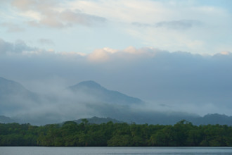 Atlantic Rainforest Coast, Brazil