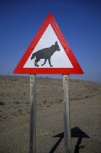 Sign warning of brown hyenas or beach wolves (Parahyaena brunnea) near Lüderitz, Karas Region,