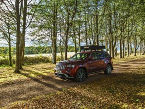 4x4 car with roof tent on autumn forest road, Tyninghame House, River Tyne, East Lothian, Scotland,