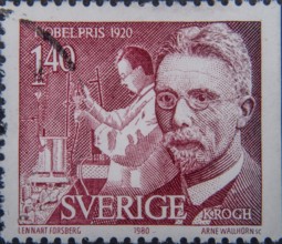 August Steenberg Krogh (1874-1949) was a Danish zoophysiologist. He received the Nobel Prize in