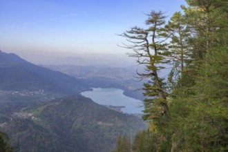 View of Lake Caldonazzo from the Respiro degli Alberi hiking trail, Lavarone, Lanzino, Trentino,