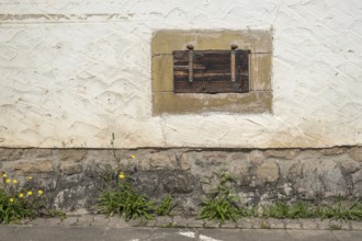 Cellar window with wooden shutter, Göcklingen, Southern Palatinate, Palatinate,