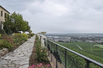 View from Johannisberg Castle, Geisenheim, Rheingau, Hesse, Germany