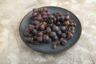 Bunches of rotten and Dry Red wine grapes on blue plate on brown concrete background, harvest,