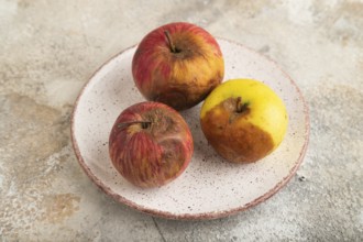 Decaying, Rotting apples on ceramic plate on brown concrete background. Side view, close up,