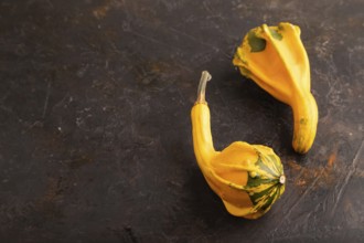 Two decorative orange Pumpkins on black concrete background, side view, copy space, minimalism