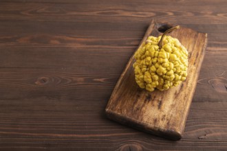 Decorative orange Pumpkin with tumors on cutting board on brown wooden background, side view, copy