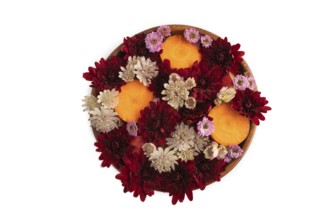 Wooden bowl with carrot slices and red Chrysanthemum flowers, Astrantia flowers, flower salad