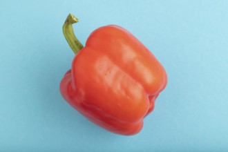 Red pepper on blue pastel background. Top view, flat lay, copy space. healthy food, vegetable,