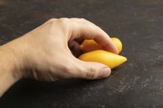 Yellow tomatoes with hand on black concrete background. Side view, copy space. healthy food,