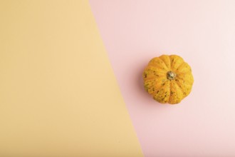 Orange Pumpkin on orange and pink pastel paper background. Top view, copy space, flat lay. healthy
