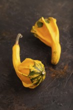 Two decorative orange Pumpkins on black concrete background, side view, close up, minimalism
